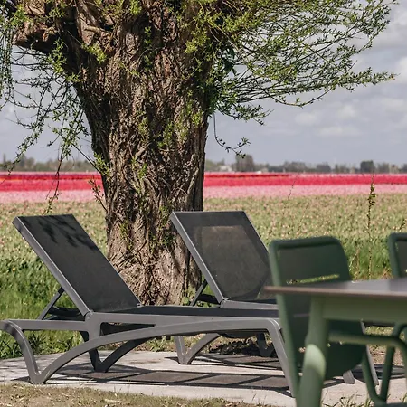 Luxury With 2 Bathrooms, Near Markermeer Holiday home Wijdenes